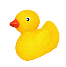 アヒル